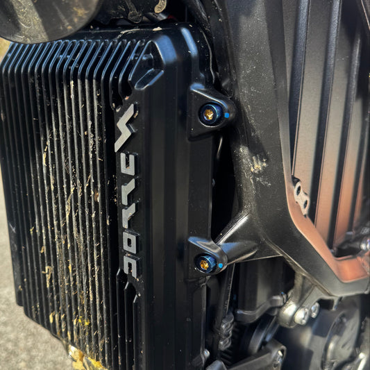 Titanium Ultrabee controller mount bolts